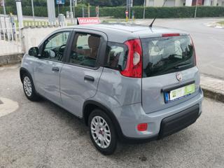 FIAT Panda usata, con Airbag
