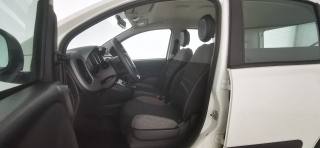 FIAT Panda usata 40