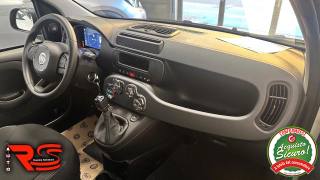 FIAT Panda usata, con Cruise Control