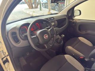 FIAT Panda usata 15