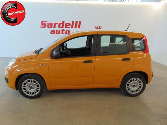 FIAT Panda usata, con ESP