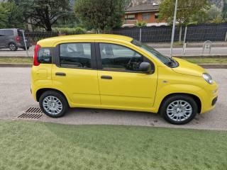 FIAT Pandina usata, con Chiusura centralizzata