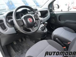 FIAT Panda usata 8