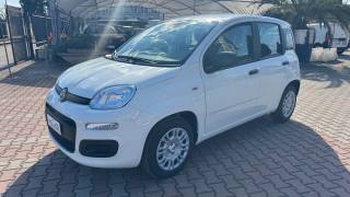 FIAT Pandina usata, con Airbag Passeggero