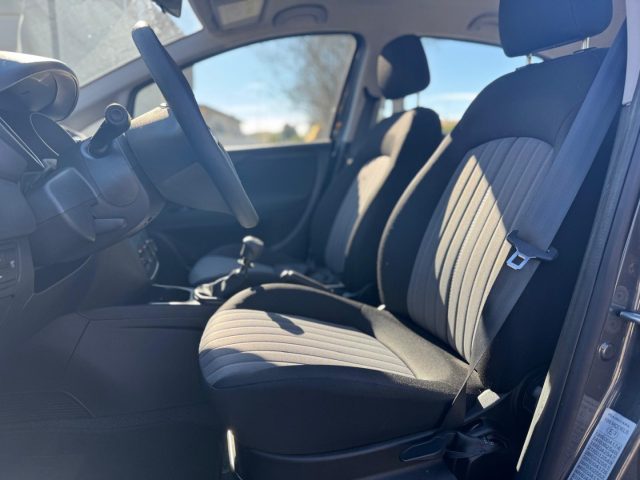 FIAT Punto usata, con Climatizzatore