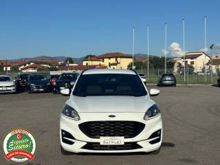 FORD Kuga usata, con Airbag