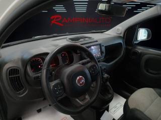 FIAT Panda usata 12