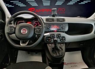 FIAT Panda usata 12