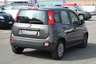 FIAT Panda usata, con Antifurto