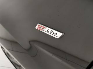 FORD EcoSport usata, con Volante multifunzione