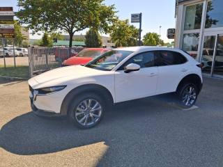 MAZDA CX-30 2.0L Skyactiv-G 150 CV M Hybrid 2WD Exclusive