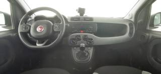 FIAT Panda usata, con ESP