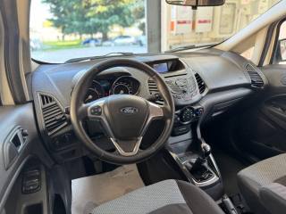 FORD EcoSport usata, con Fendinebbia