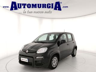 FIAT Panda usata, con Airbag
