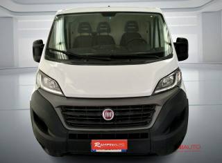 FIAT Ducato usata 3