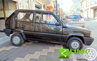 FIAT Panda usata 5