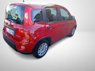 FIAT Panda usata, con Climatizzatore