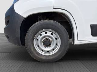 FIAT Ducato usata 13