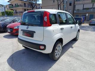 FIAT Panda usata, con Climatizzatore