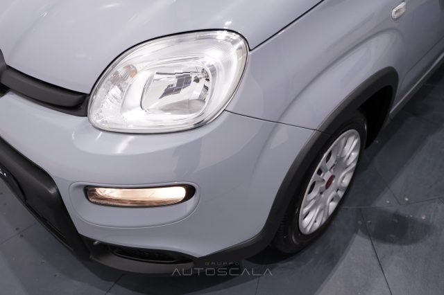 FIAT New Panda usata 25
