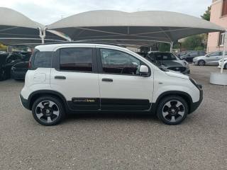 FIAT Panda usata, con Cruise Control