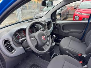 FIAT Panda usata, con Chiusura centralizzata