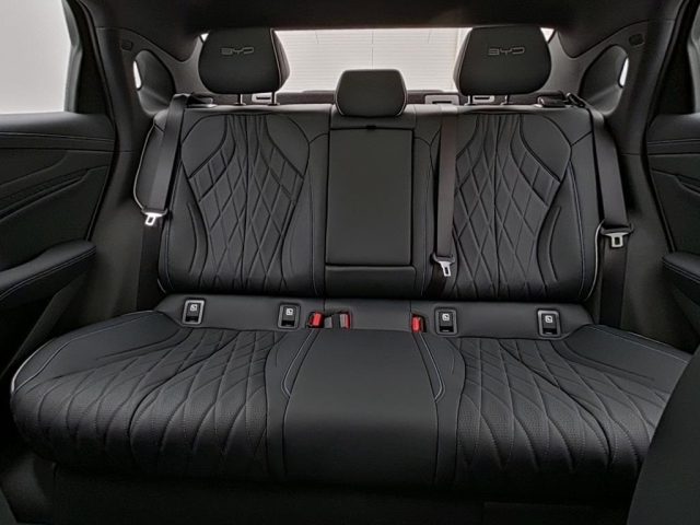 BYD Seal usata, con ESP