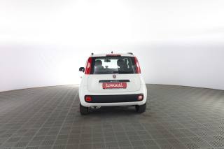FIAT Panda usata 4