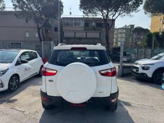 FORD EcoSport usata, con Cronologia tagliandi