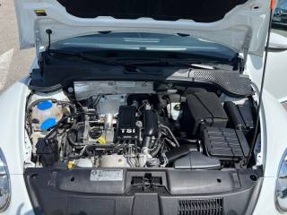 VOLKSWAGEN Maggiolino usata, con Cruise Control