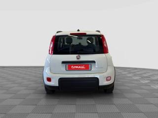 FIAT Panda usata 3