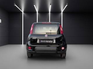 FIAT Panda usata, con Antifurto