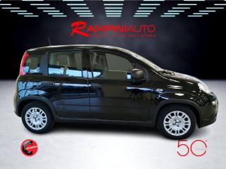 FIAT Panda usata 6
