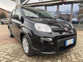 FIAT Panda usata, con USB