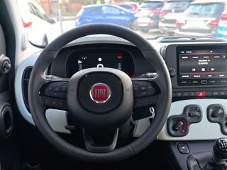 FIAT Panda usata, con Controllo trazione