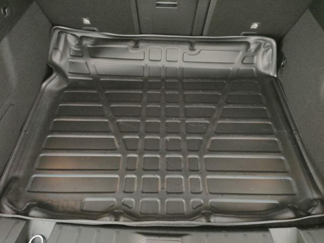 ALFA ROMEO Tonale usata, con Touch screen