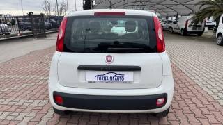 FIAT New Panda usata, con Alzacristalli elettrici