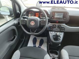 FIAT Panda usata, con Controllo trazione