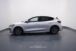 FORD Focus usata, con Airbag laterali