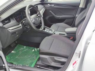 SKODA Octavia usata, con Airbag Passeggero