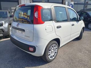 FIAT Panda usata, con Climatizzatore