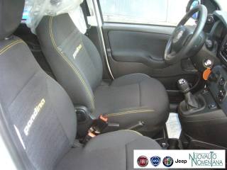 FIAT Panda usata, con Riconoscimento dei segnali stradali