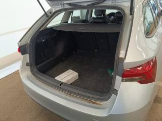 SKODA Octavia usata, con Immobilizzatore elettronico