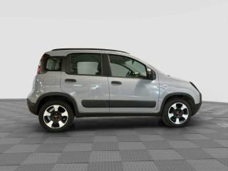 FIAT Panda usata 5