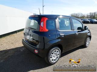 FIAT Panda usata, con Airbag