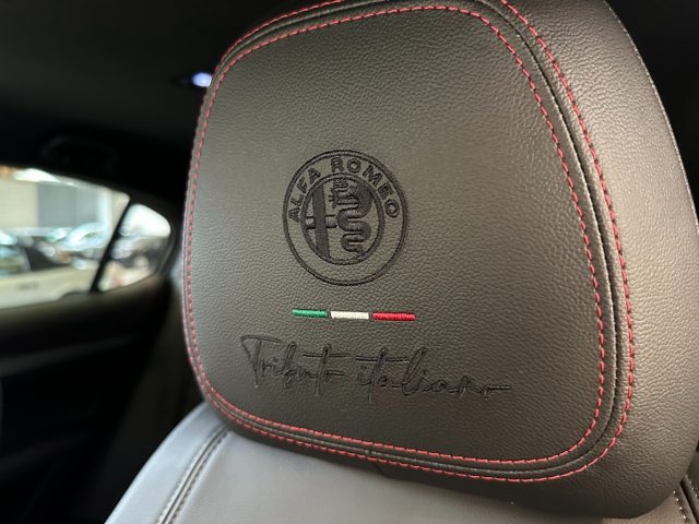 ALFA ROMEO Stelvio usata 60