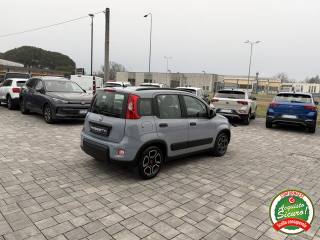FIAT Panda usata, con Cronologia tagliandi