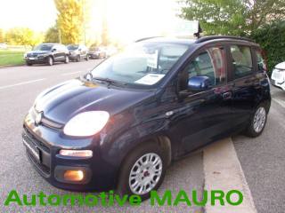 FIAT Panda usata 2