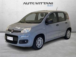 FIAT Panda 1.0 firefly hybrid City Life s&s 70cv