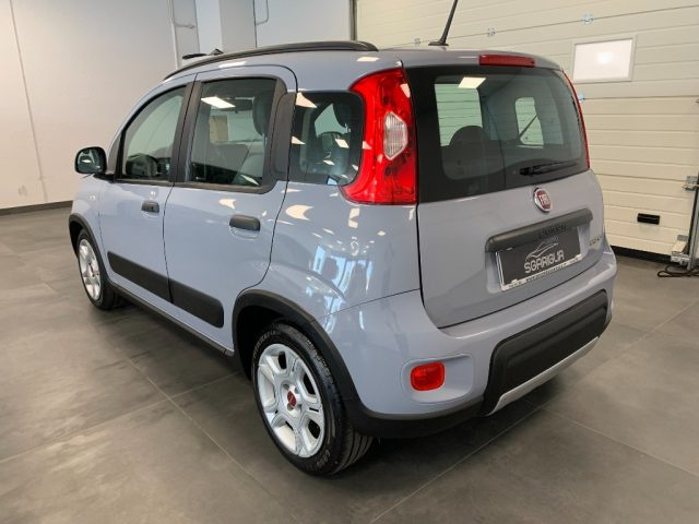 FIAT Panda usata, con Alzacristalli elettrici
